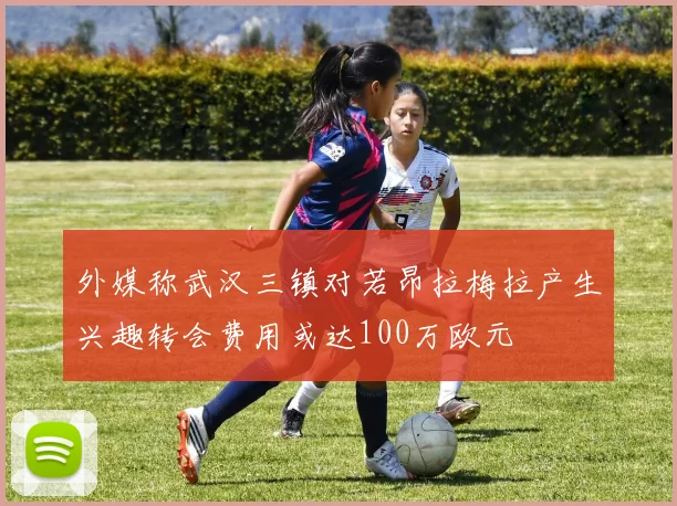外媒称武汉三镇对若昂拉梅拉产生兴趣转会费用或达100万欧元