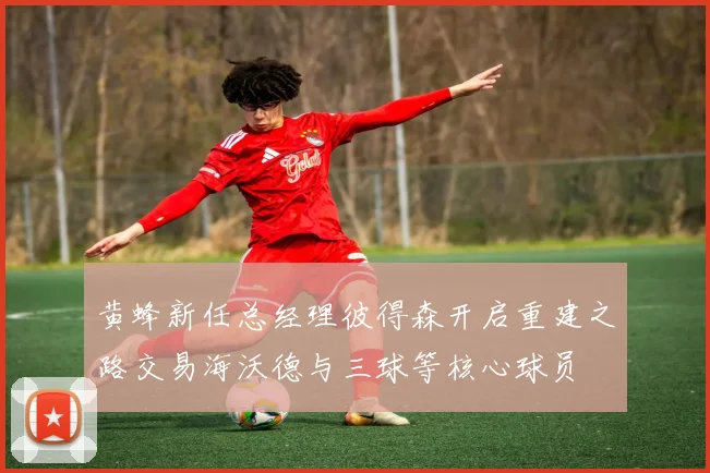 黄蜂新任总经理彼得森开启重建之路交易海沃德与三球等核心球员